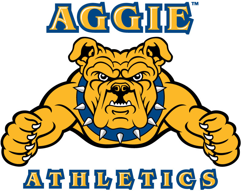 North Carolina A&T Aggies 2006-Pres Alternate Logo 04 iron on paper